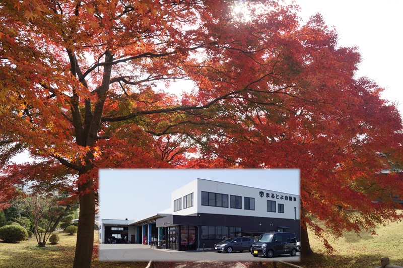 クルマと人々の安全と、生活を支える整備工場